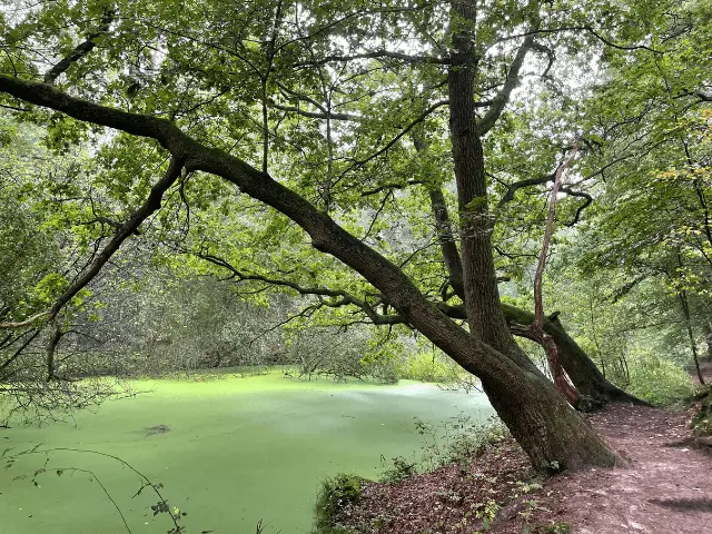 Hiken en wandelen op Scouting Landgoed Eerde